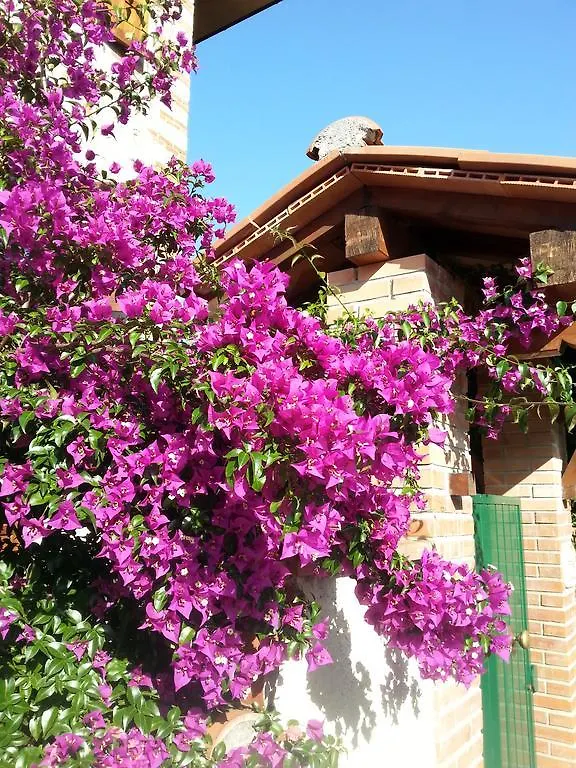 Villa Il Fortino Lido di Camaiore 3*,  Italië